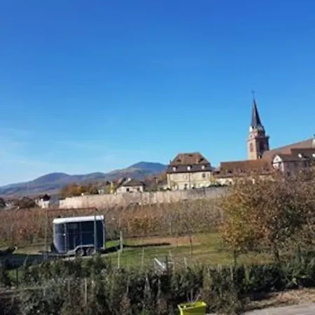 Le Clocher Aux Cigognes Au Village De Bergheim