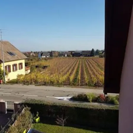 Le Clocher Aux Cigognes Au Village De アパート