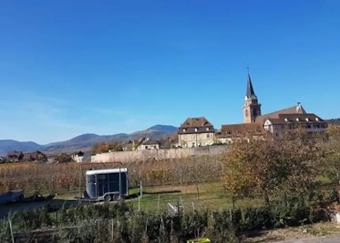 Le Clocher Aux Cigognes Au Village De Bergheim