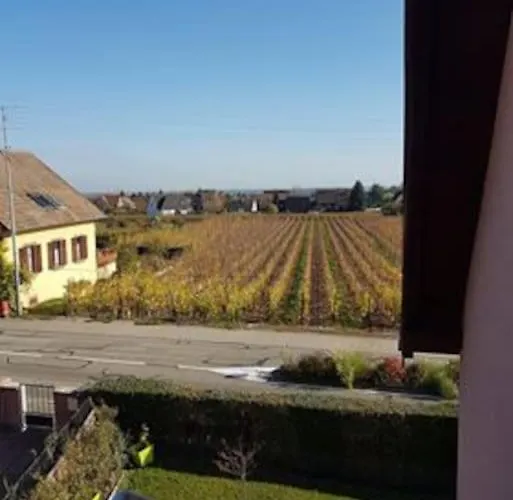 Le Clocher Aux Cigognes Au Village De Appartamento