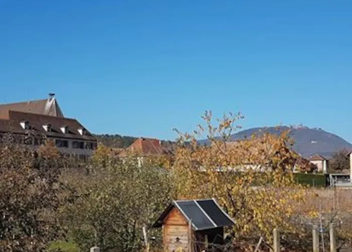 Appartamento Le Clocher Aux Cigognes Au Village De *